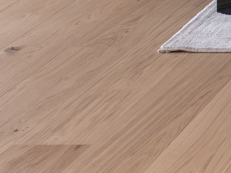 Canvas Nutmeg